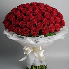 Букет 101 Красная роза Блэк Мэджик #REPLACE_PRED# Строителе Тамбовской области