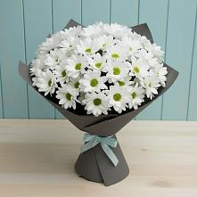 Букет цветов из:  Хризантемы #REPLACE_PRED# Строителе Тамбовской области