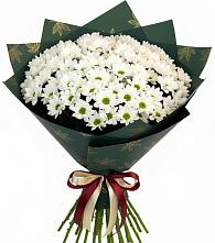 Букет цветов из:  Хризантемы #REPLACE_PRED# Строителе Тамбовской области