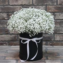 Цветочная композиция из Гипсофила в шляпной коробке в Строителе Тамбовской области