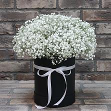 Цветочная композиция из Гипсофила в шляпной коробке в Строителе Тамбовской области