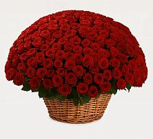 Премиум букет из: Розы в Строителе Тамбовской области