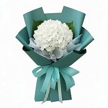 Букет цветов из:  Гортензия в Строителе Тамбовской области